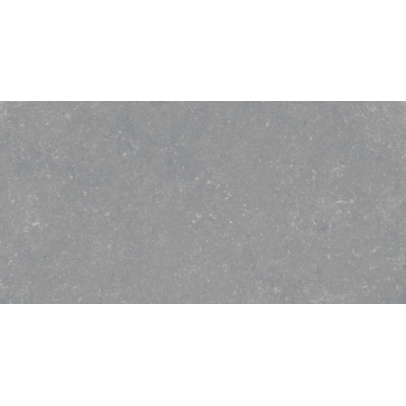 Keraben Petit Granit Gris Natural Płytka ścienna 30x60 cm, szara GB105282