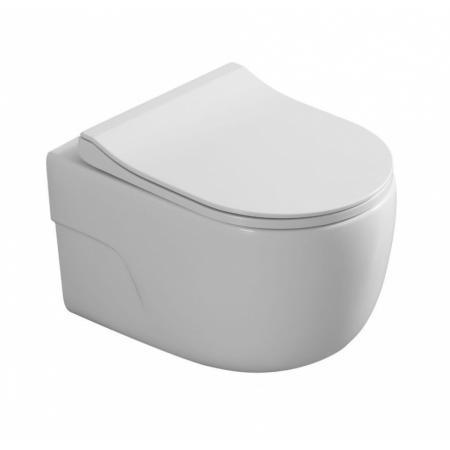 Lavita Roto Toaleta WC podwieszana 52,5x36 cm z deską wolnoopadającą biała 5900378308058