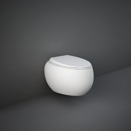 RAK Ceramics Cloud Toaleta WC 56x40 cm bez kołnierza biały mat CLOWC1446500A